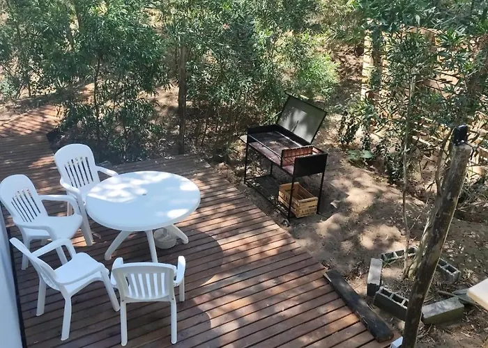 Casita En El Bosque