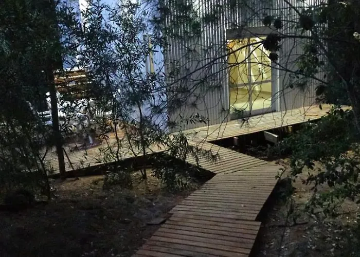 Casita En El Bosque